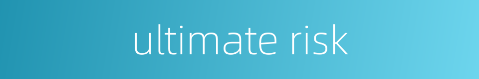 ultimate risk的同义词