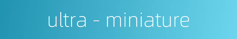 ultra - miniature的同义词