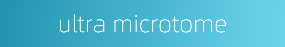 ultra microtome的同义词