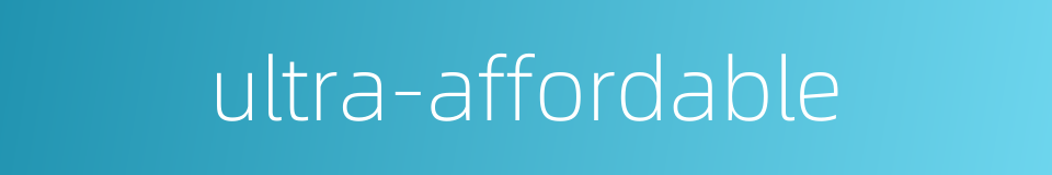 ultra-affordable的同义词