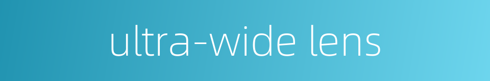 ultra-wide lens的同义词