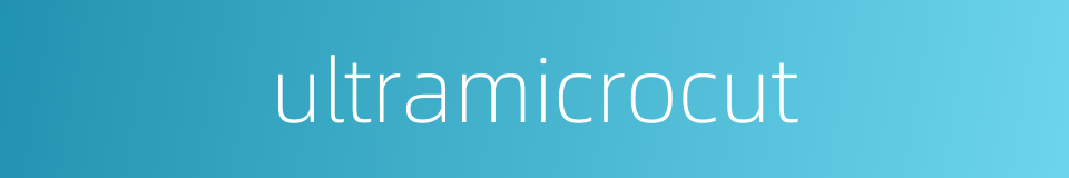 ultramicrocut的同义词