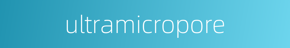 ultramicropore的同义词