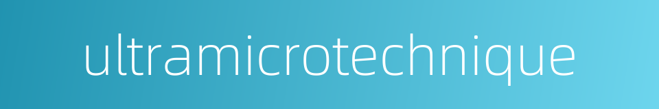ultramicrotechnique的同义词