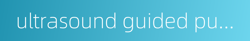 ultrasound guided puncture的同义词