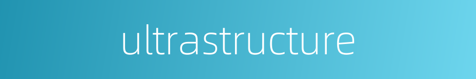 ultrastructure的同义词