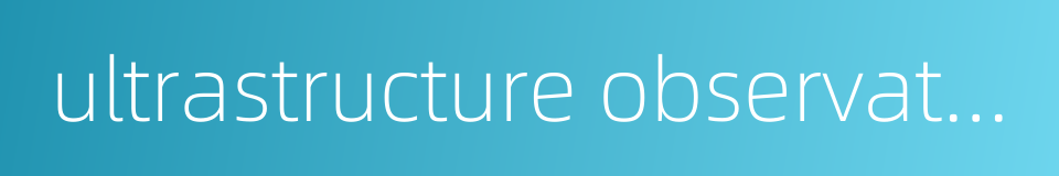 ultrastructure observation的同义词