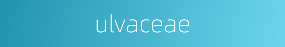 ulvaceae的同义词
