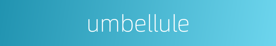 umbellule的同义词