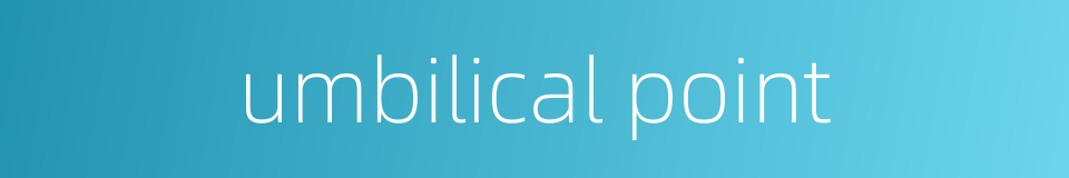 umbilical point的同义词