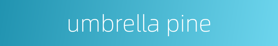 umbrella pine的同义词