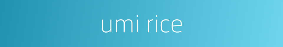 umi rice的同义词