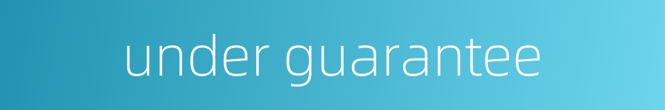 under guarantee的同义词