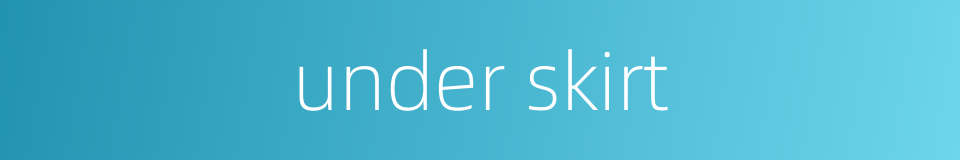 under skirt的同义词
