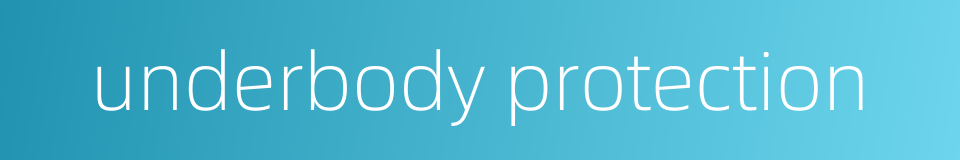 underbody protection的同义词