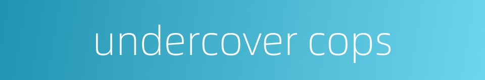 undercover cops的同义词