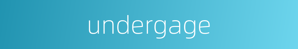undergage的同义词