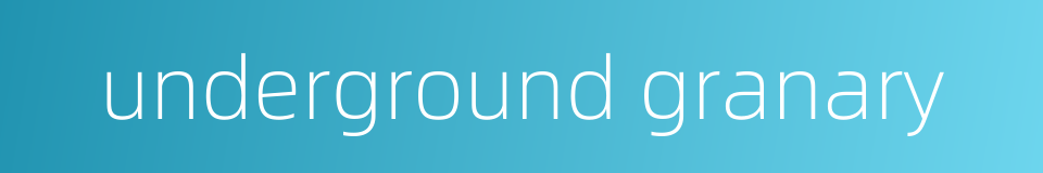 underground granary的同义词