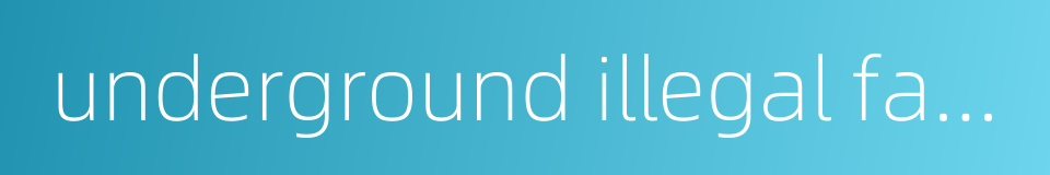 underground illegal factory的同义词