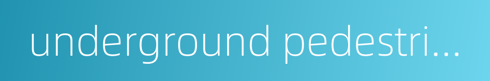 underground pedestrian walkway的同义词