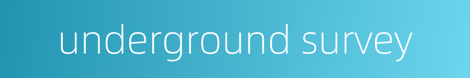 underground survey的同义词
