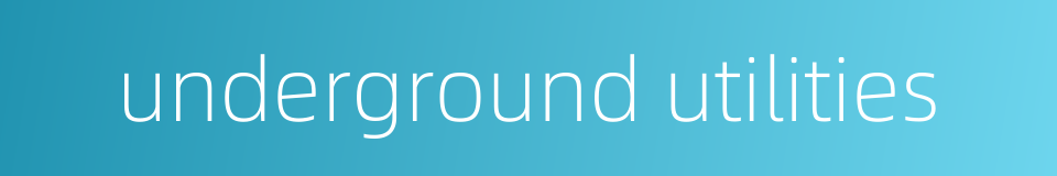 underground utilities的同义词