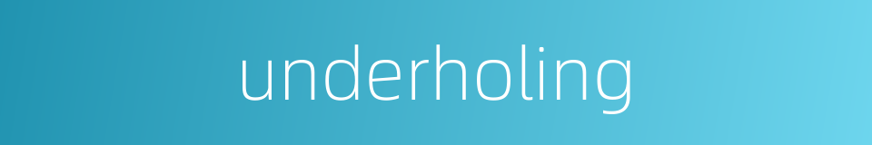 underholing的同义词