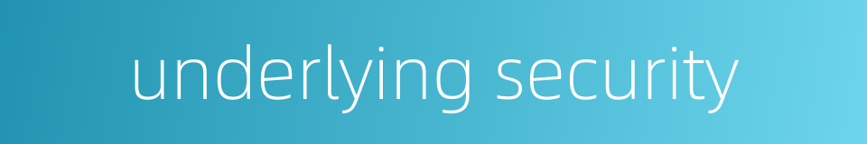 underlying security的同义词