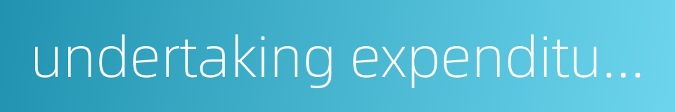 undertaking expenditures的同义词