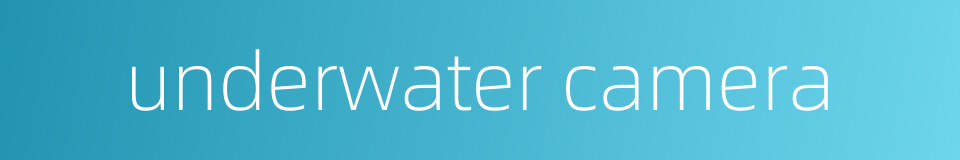 underwater camera的同义词