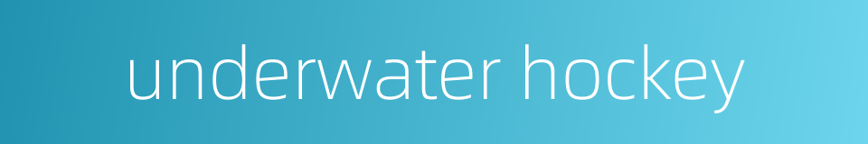 underwater hockey的同义词