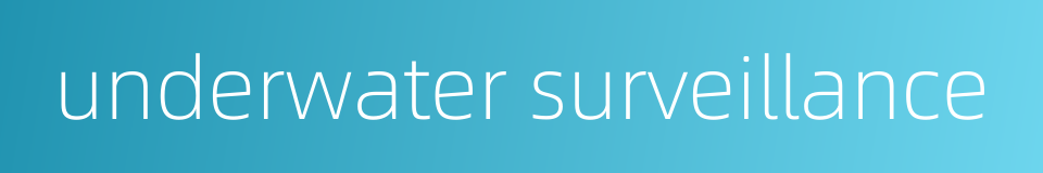 underwater surveillance的同义词