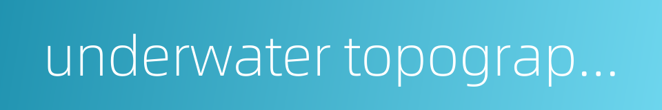 underwater topographic survey的同义词