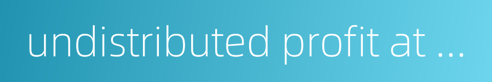 undistributed profit at the beginning of the year的同义词