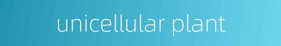 unicellular plant的同义词