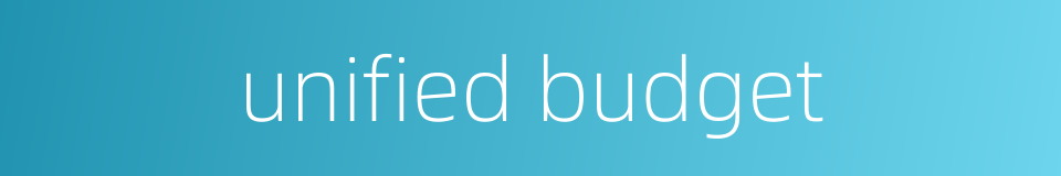 unified budget的同义词