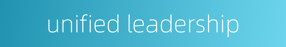 unified leadership的同义词