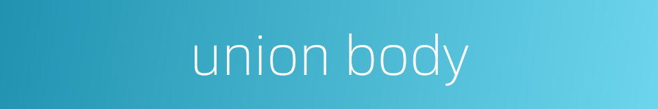 union body的同义词