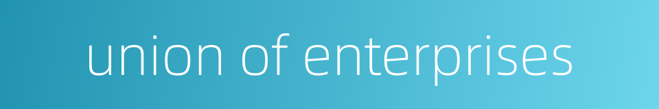 union of enterprises的同义词