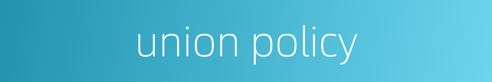 union policy的同义词