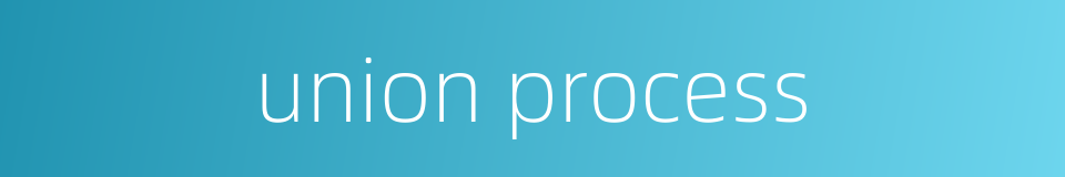 union process的同义词