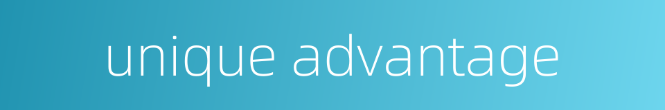 unique advantage的同义词