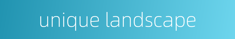 unique landscape的同义词