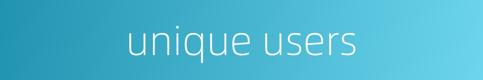 unique users的同义词