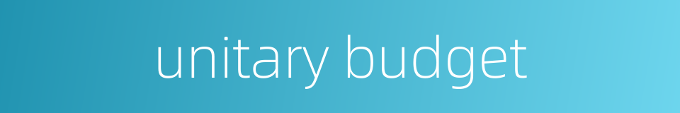 unitary budget的同义词