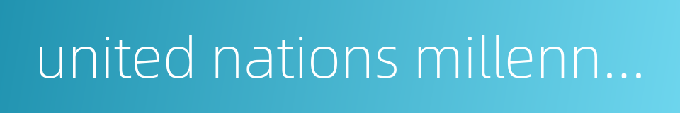 united nations millennium declaration的同义词