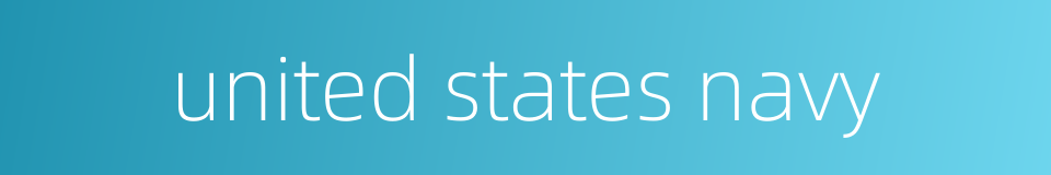 united states navy的同义词