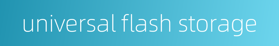 universal flash storage的同义词