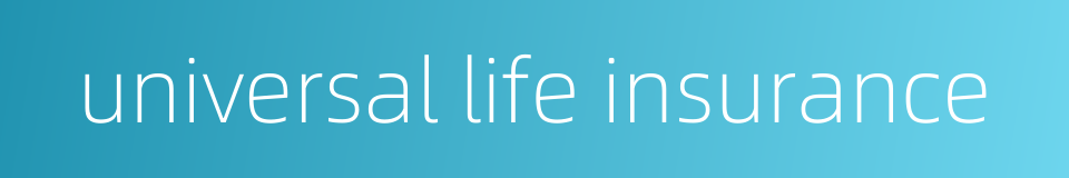 universal life insurance的同义词