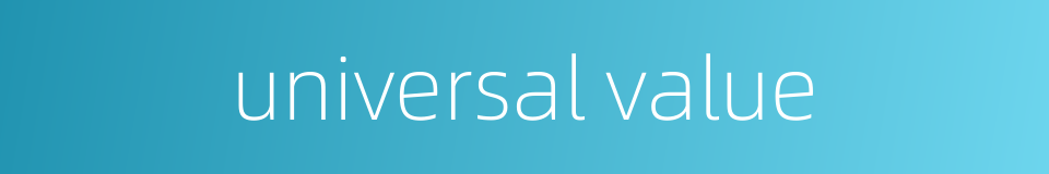 universal value的同义词